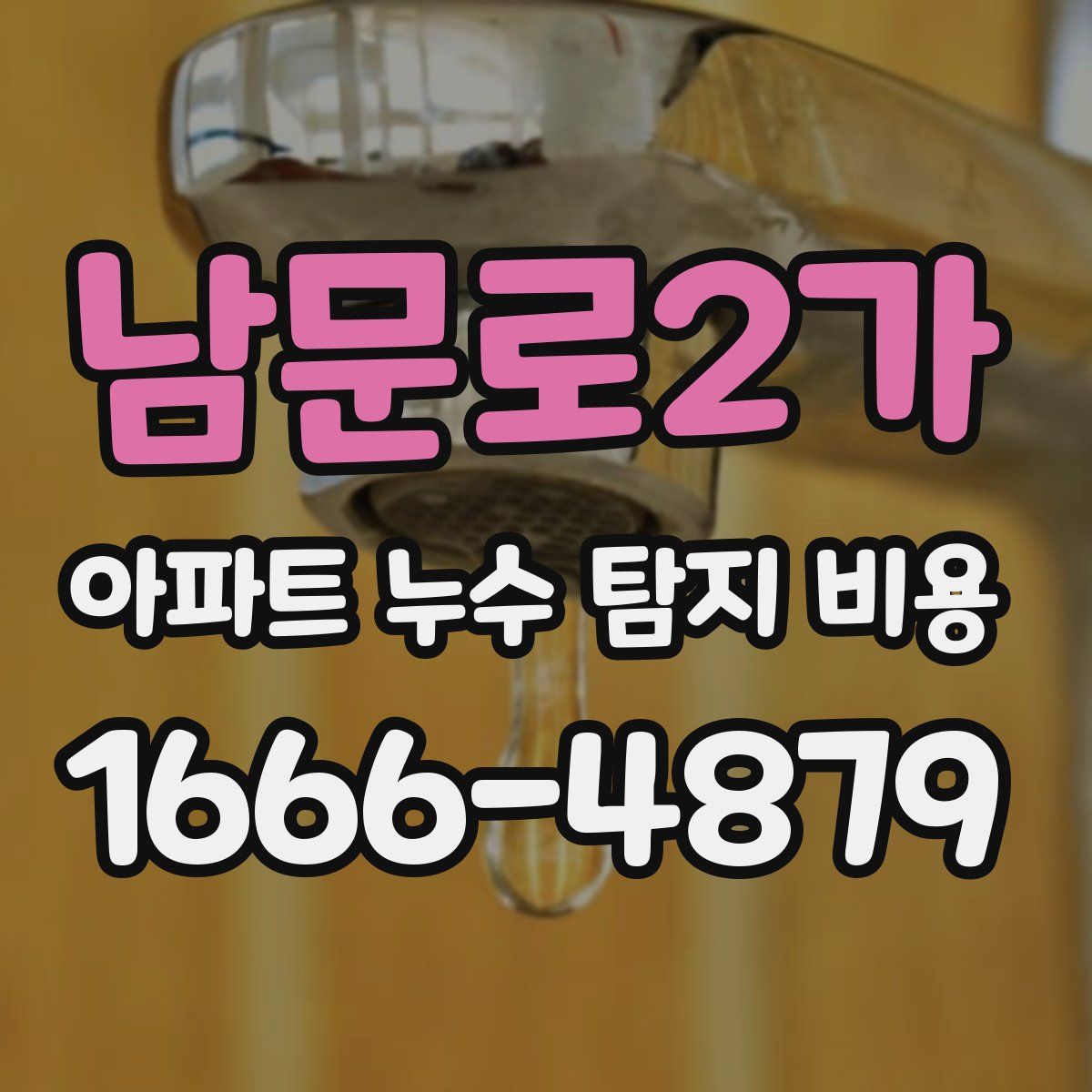 남문로2가 아파트 누수 탐지 비용