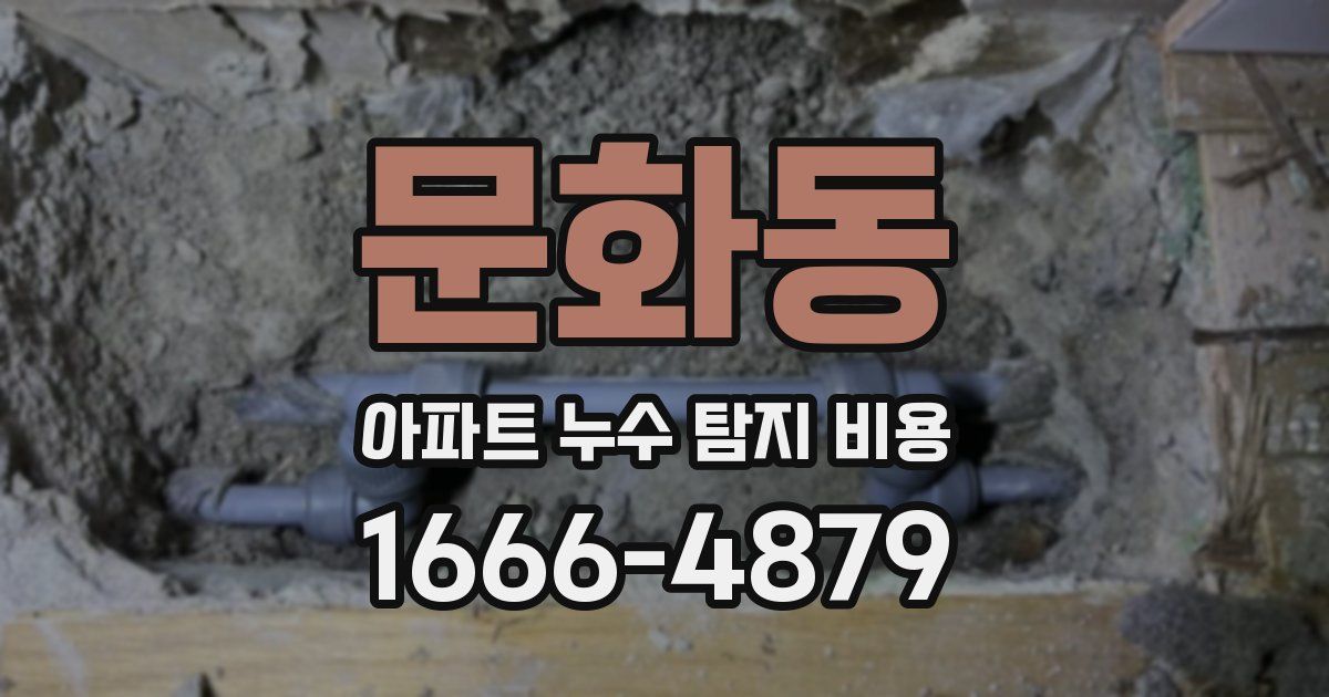 문화동 아파트 누수 탐지 비용