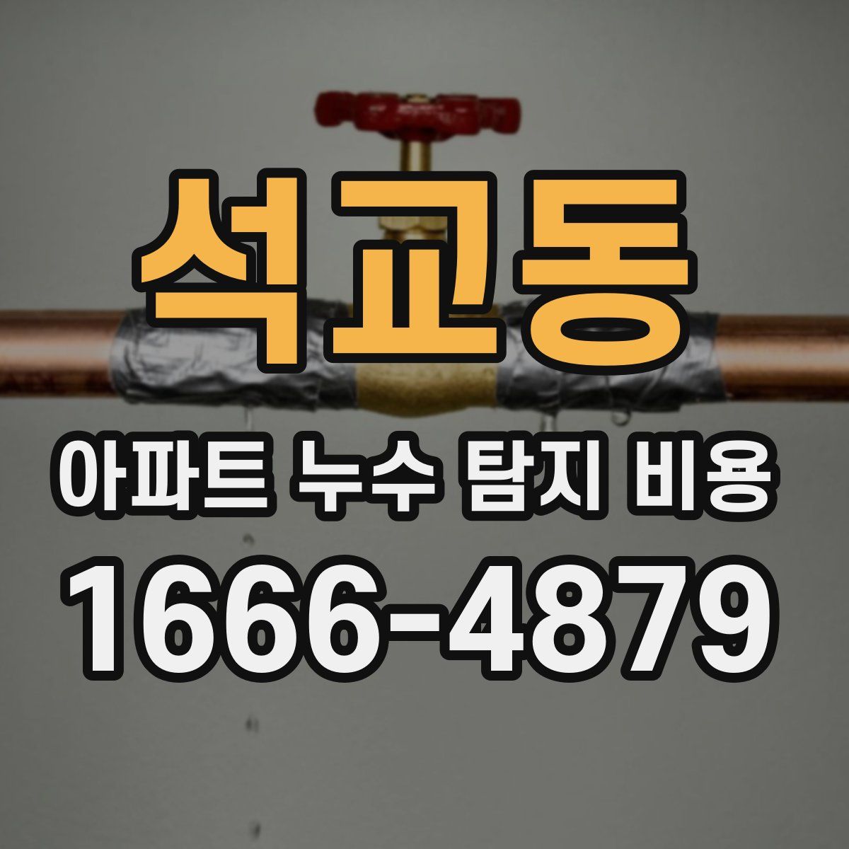 석교동 아파트 누수 탐지 비용