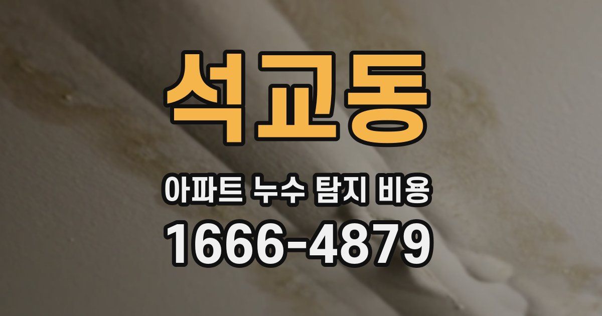 석교동 아파트 누수 탐지 비용