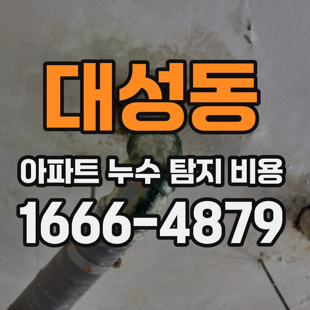 대성동 아파트 누수 탐지 비용