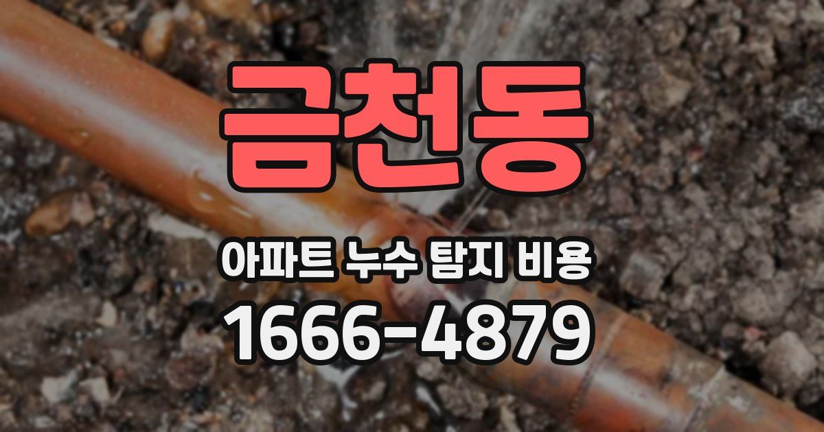 금천동 아파트 누수 탐지 비용
