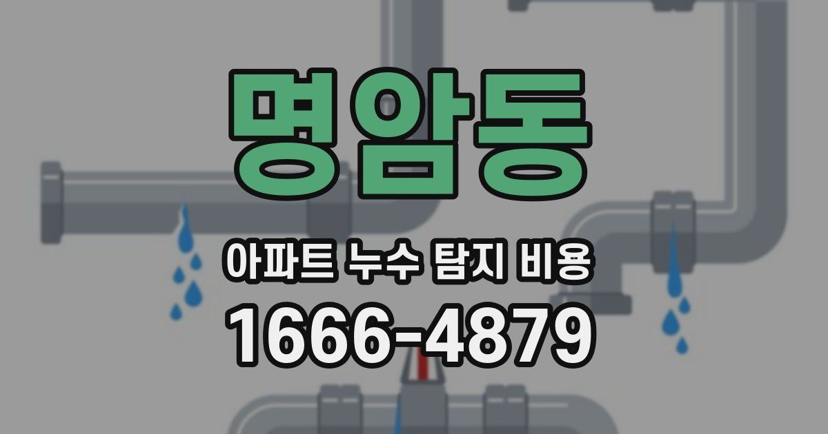 명암동 아파트 누수 탐지 비용