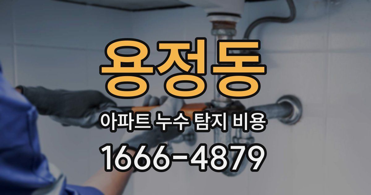 용정동 아파트 누수 탐지 비용