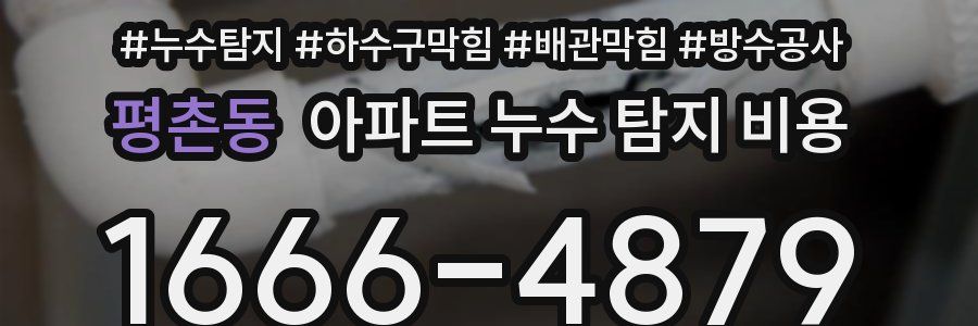 평촌동 아파트 누수 탐지 비용