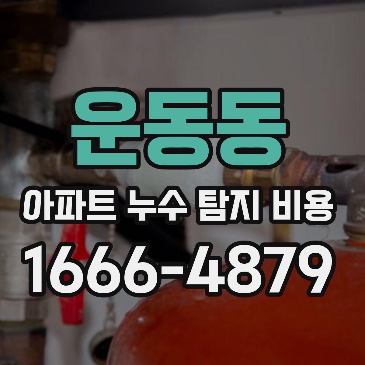 운동동 아파트 누수 탐지 비용