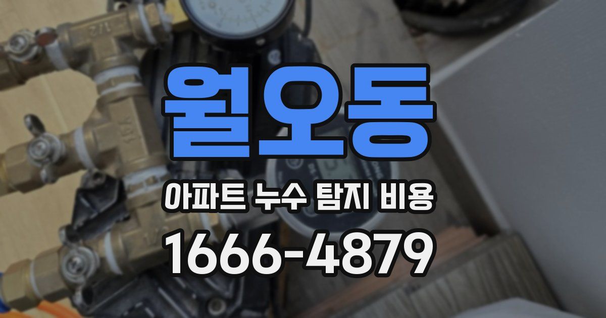 월오동 아파트 누수 탐지 비용