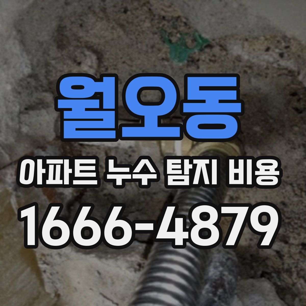 월오동 아파트 누수 탐지 비용