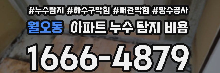 월오동 아파트 누수 탐지 비용