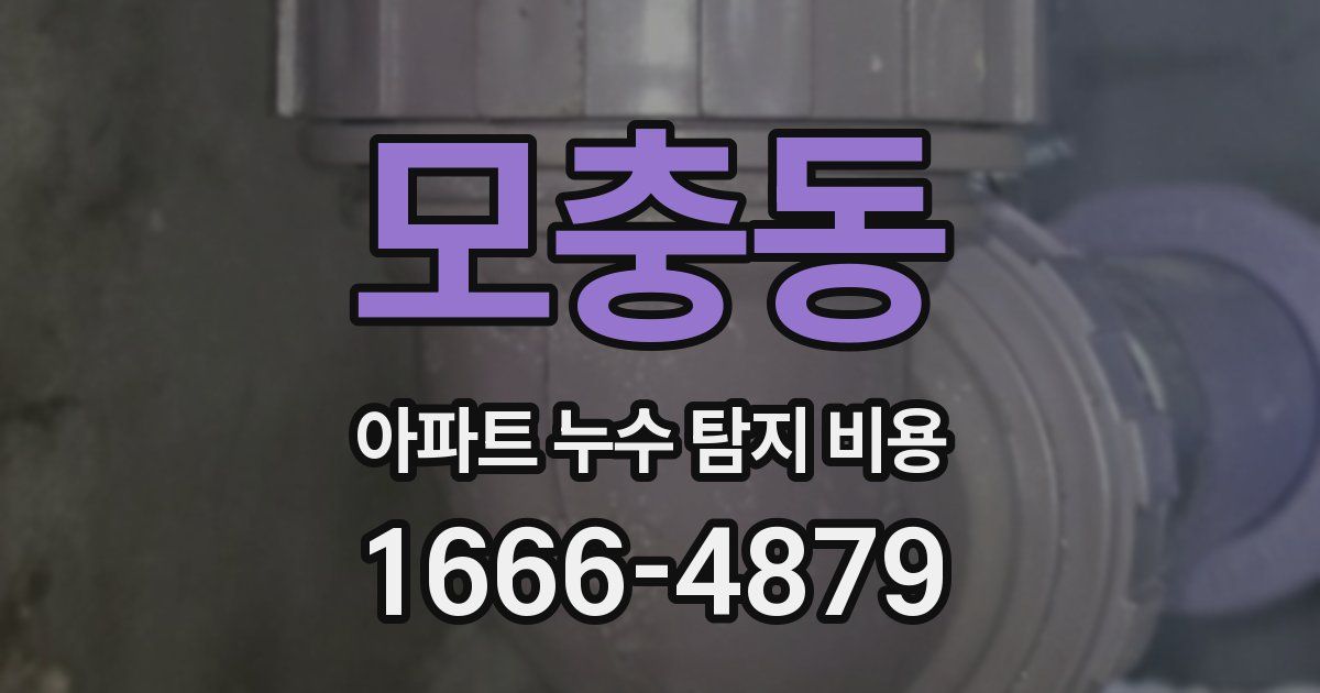 모충동 아파트 누수 탐지 비용