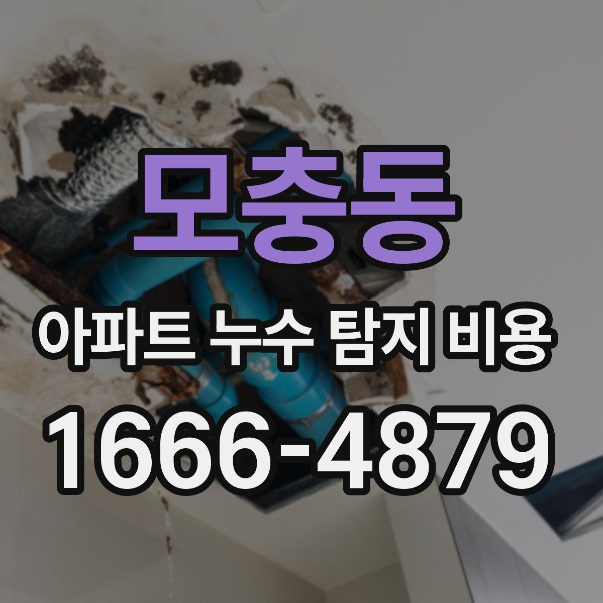 모충동 아파트 누수 탐지 비용