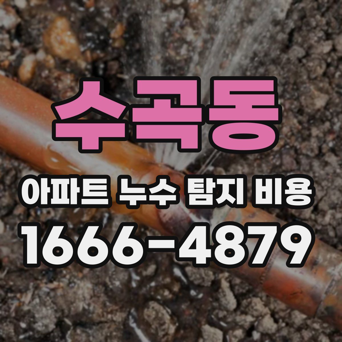 수곡동 아파트 누수 탐지 비용