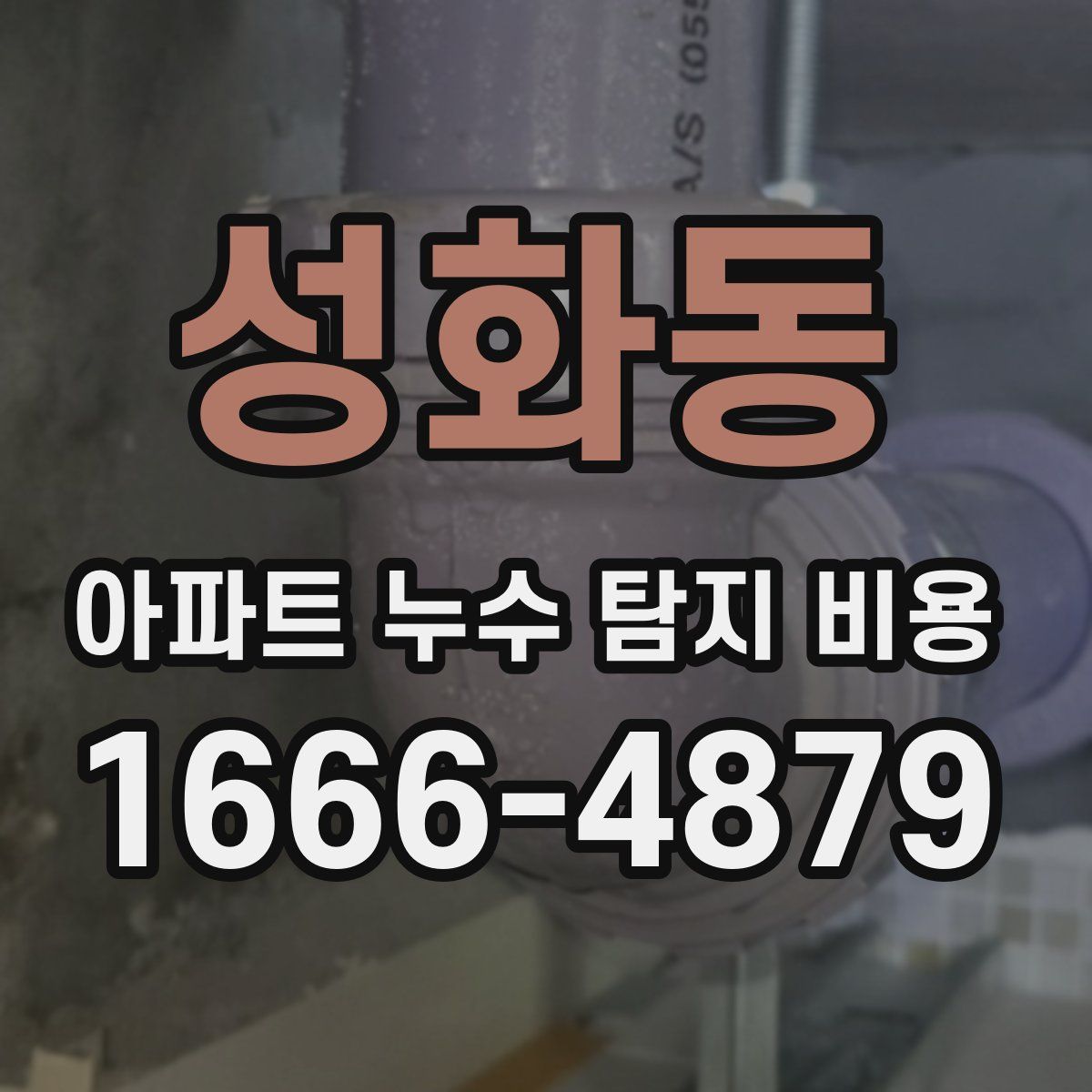 성화동 아파트 누수 탐지 비용