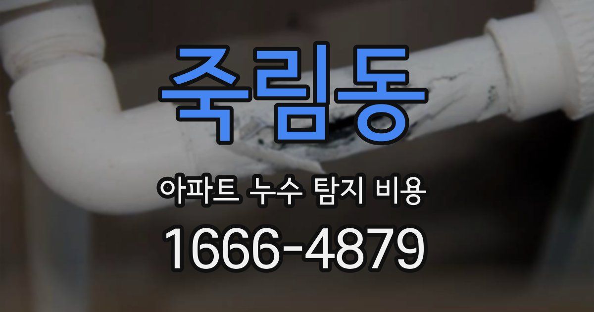 죽림동 아파트 누수 탐지 비용
