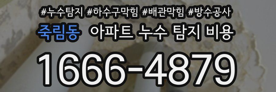 죽림동 아파트 누수 탐지 비용