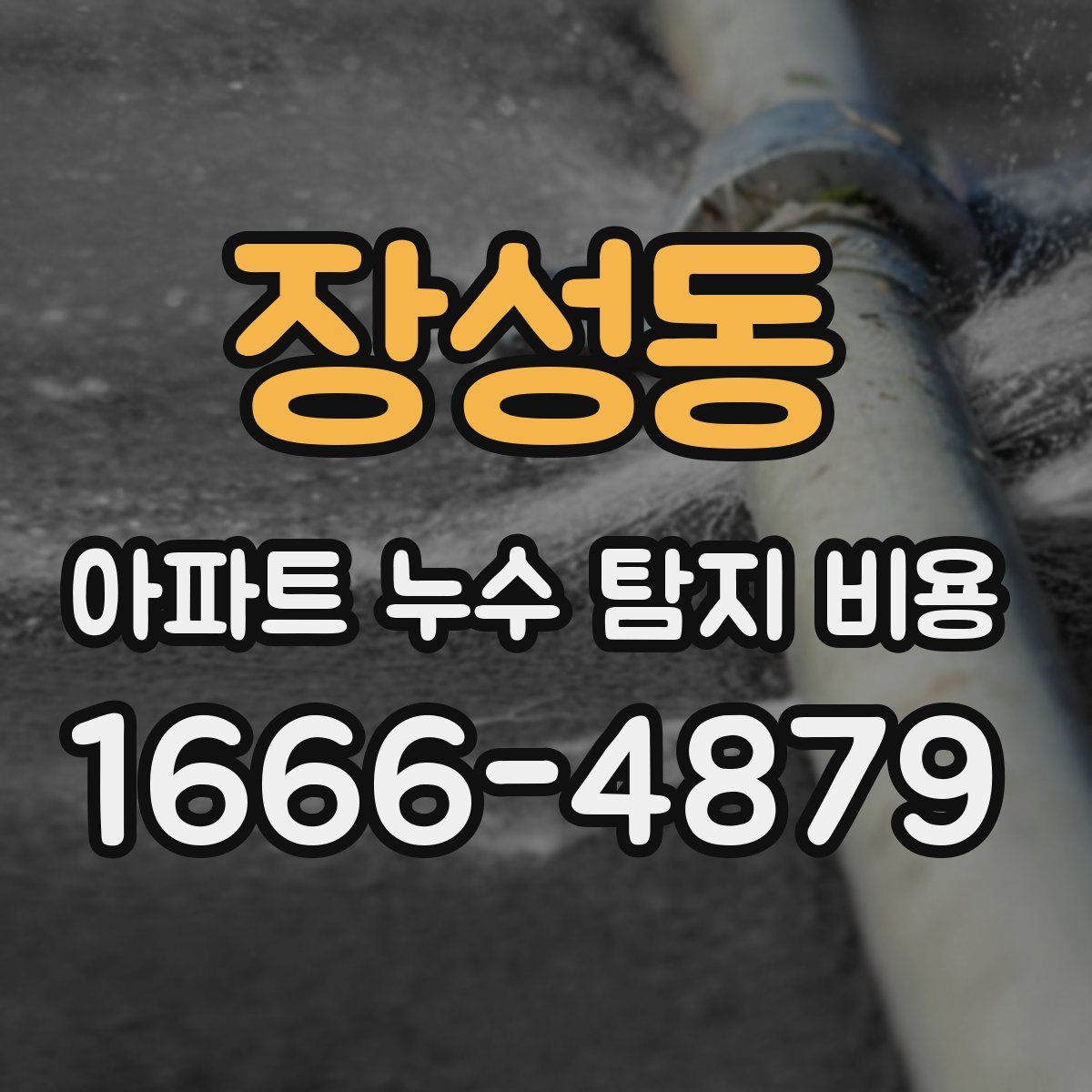 장성동 아파트 누수 탐지 비용