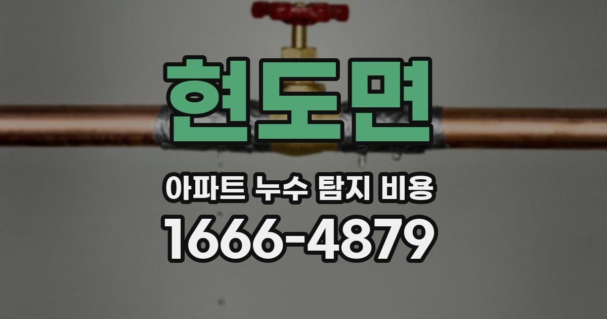 현도면 아파트 누수 탐지 비용