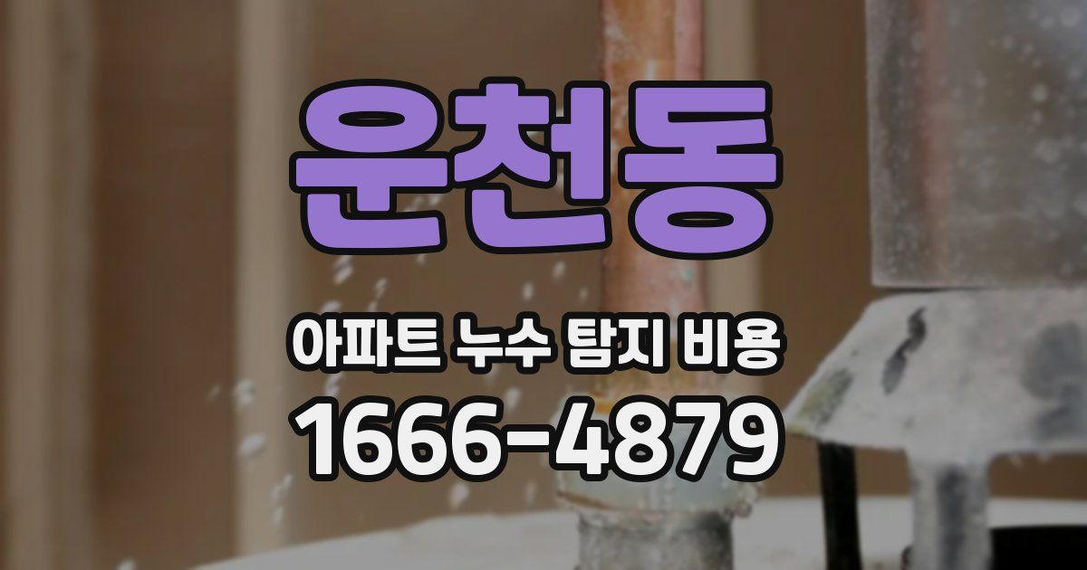 운천동 아파트 누수 탐지 비용