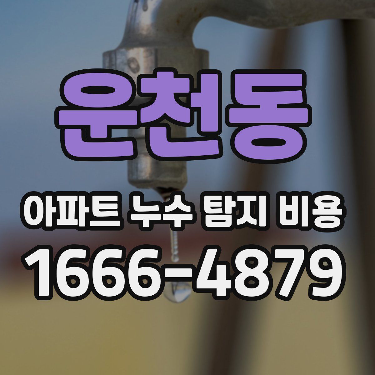 운천동 아파트 누수 탐지 비용