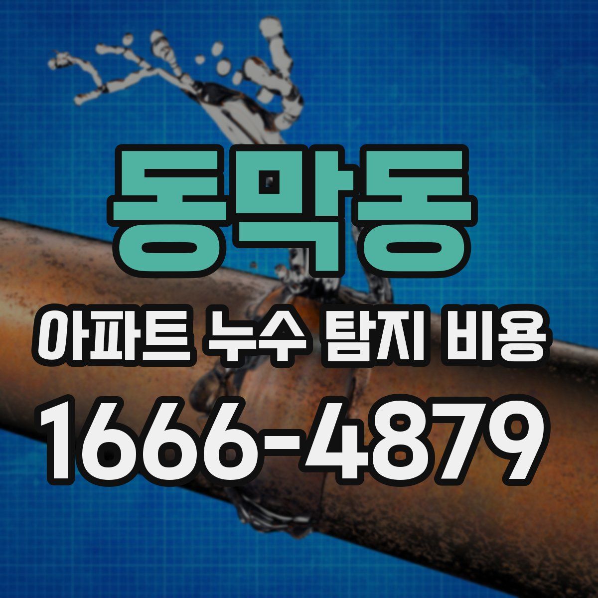 동막동 아파트 누수 탐지 비용