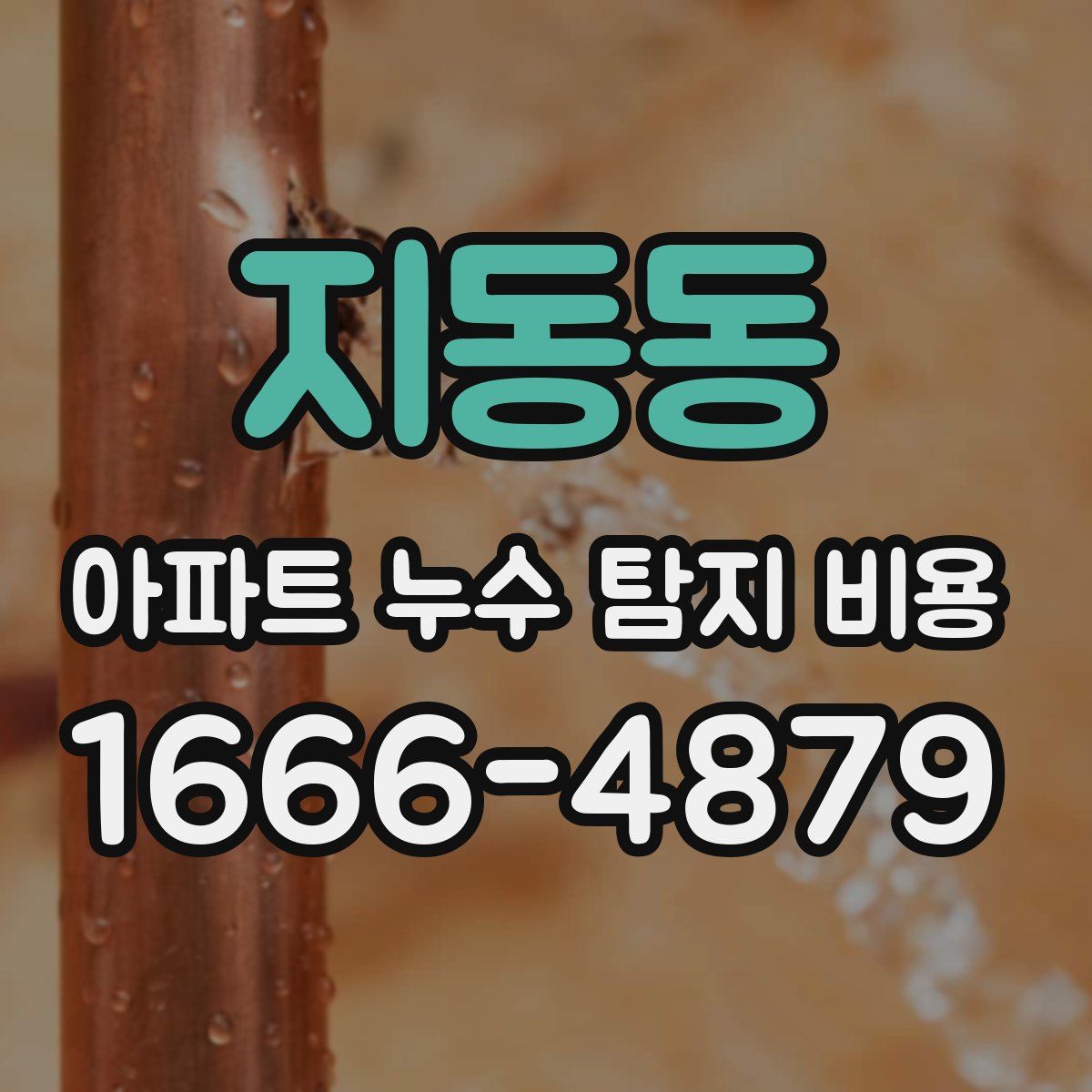 지동동 아파트 누수 탐지 비용