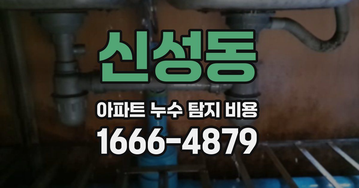 신성동 아파트 누수 탐지 비용