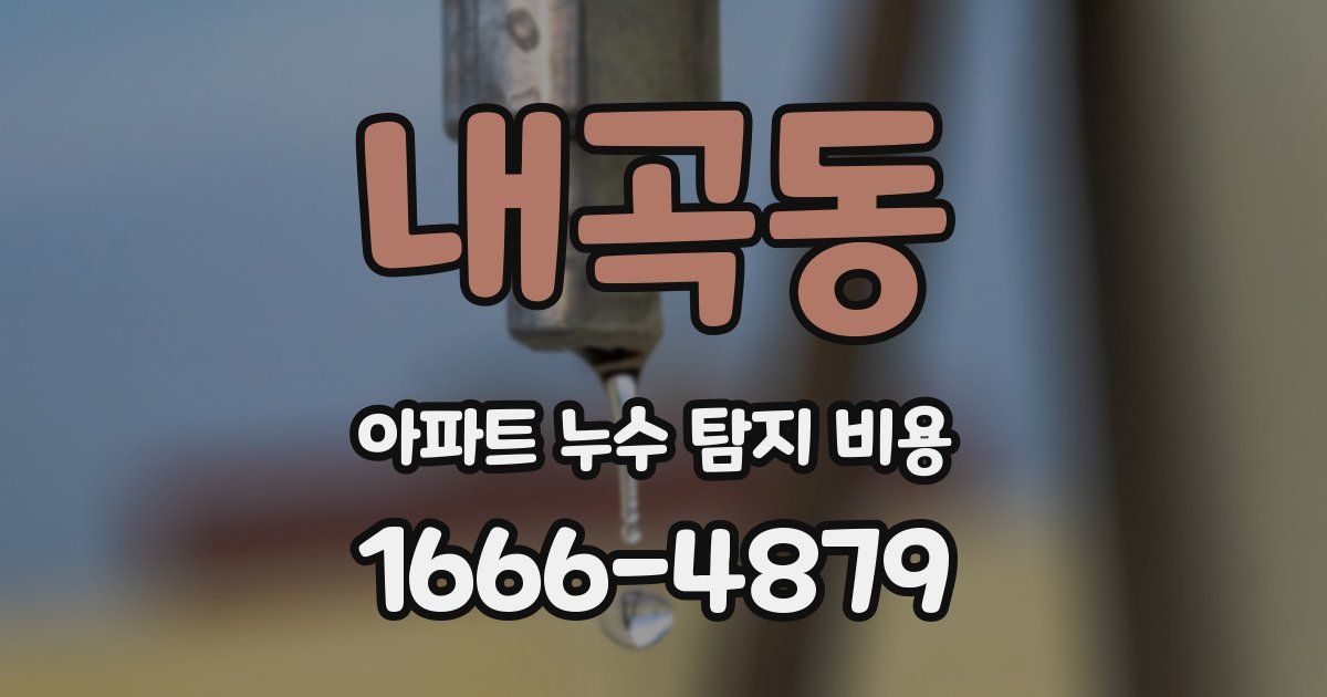 내곡동 아파트 누수 탐지 비용