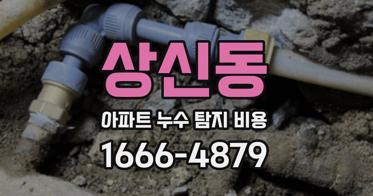 상신동 아파트 누수 탐지 비용