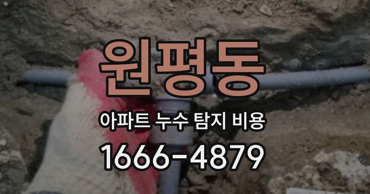 원평동 아파트 누수 탐지 비용