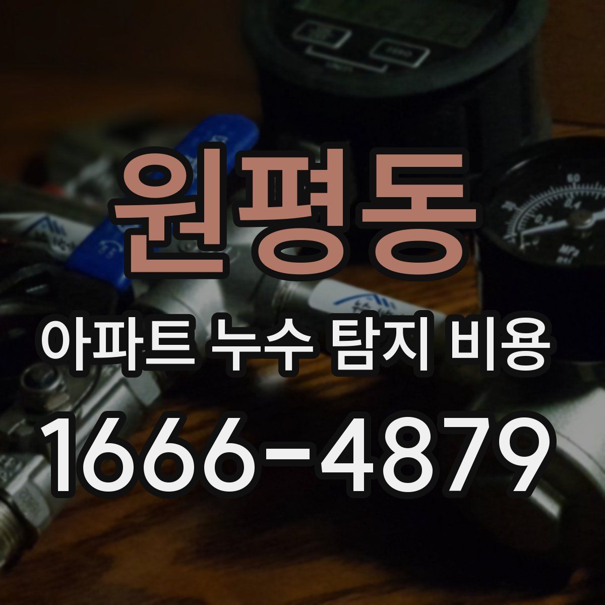 원평동 아파트 누수 탐지 비용