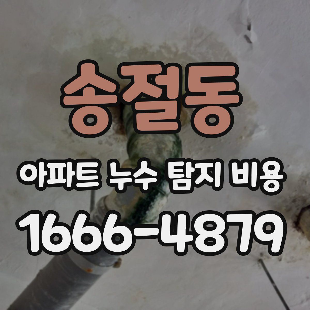 송절동 아파트 누수 탐지 비용
