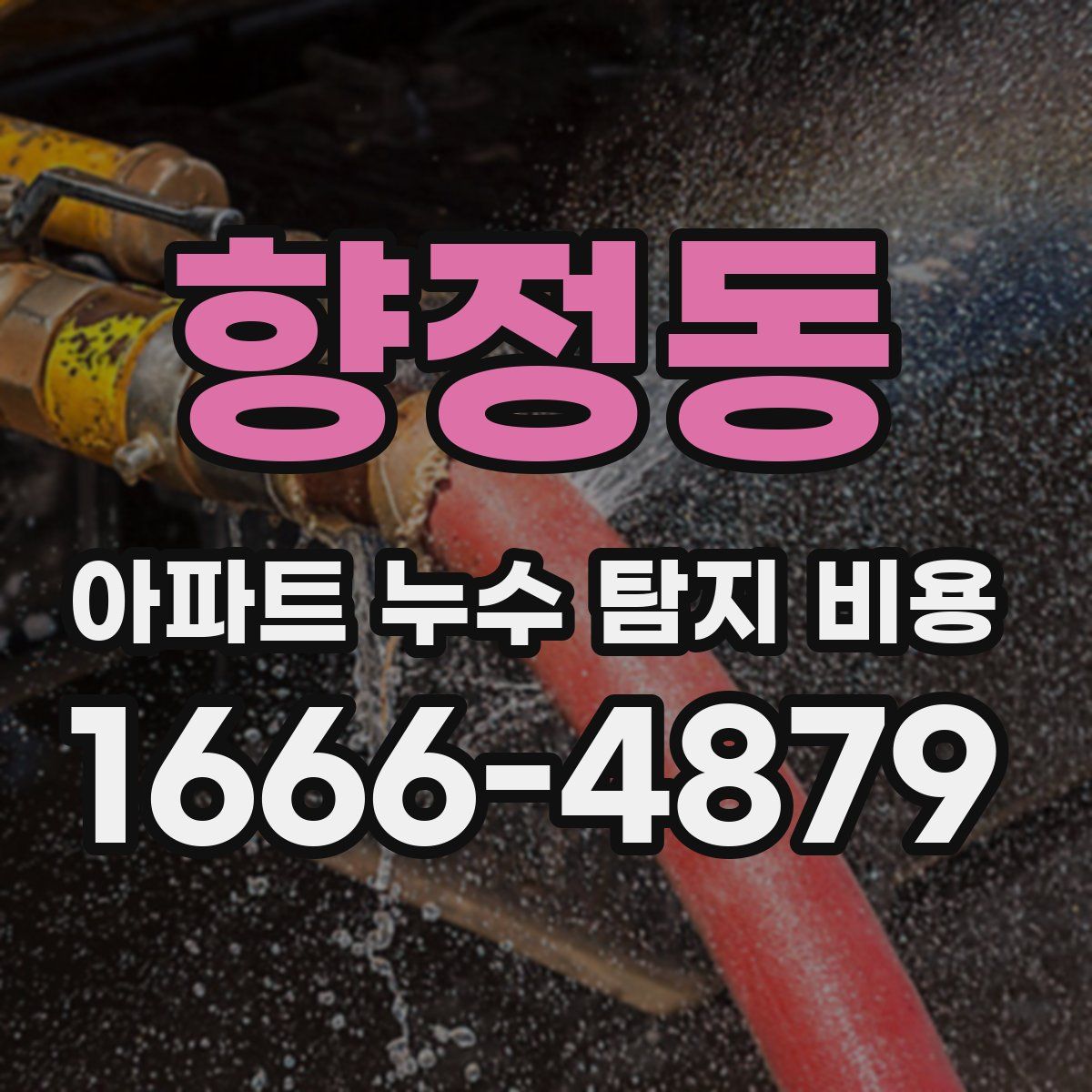 향정동 아파트 누수 탐지 비용