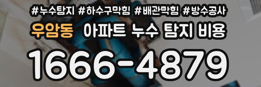 우암동 아파트 누수 탐지 비용