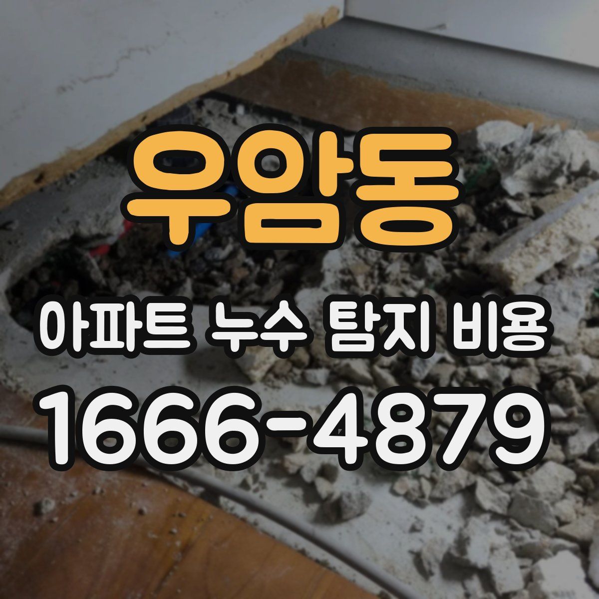 우암동 아파트 누수 탐지 비용