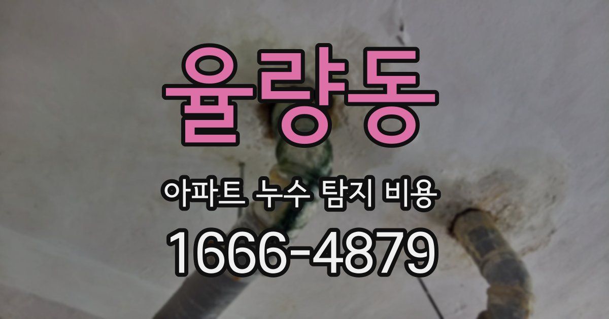 율량동 아파트 누수 탐지 비용