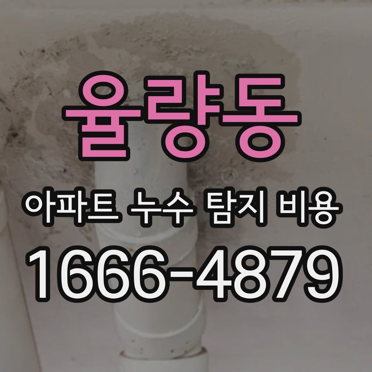 율량동 아파트 누수 탐지 비용