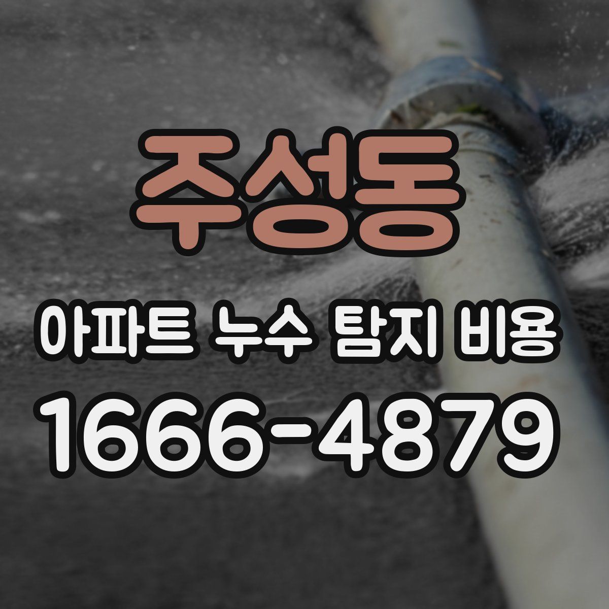 주성동 아파트 누수 탐지 비용