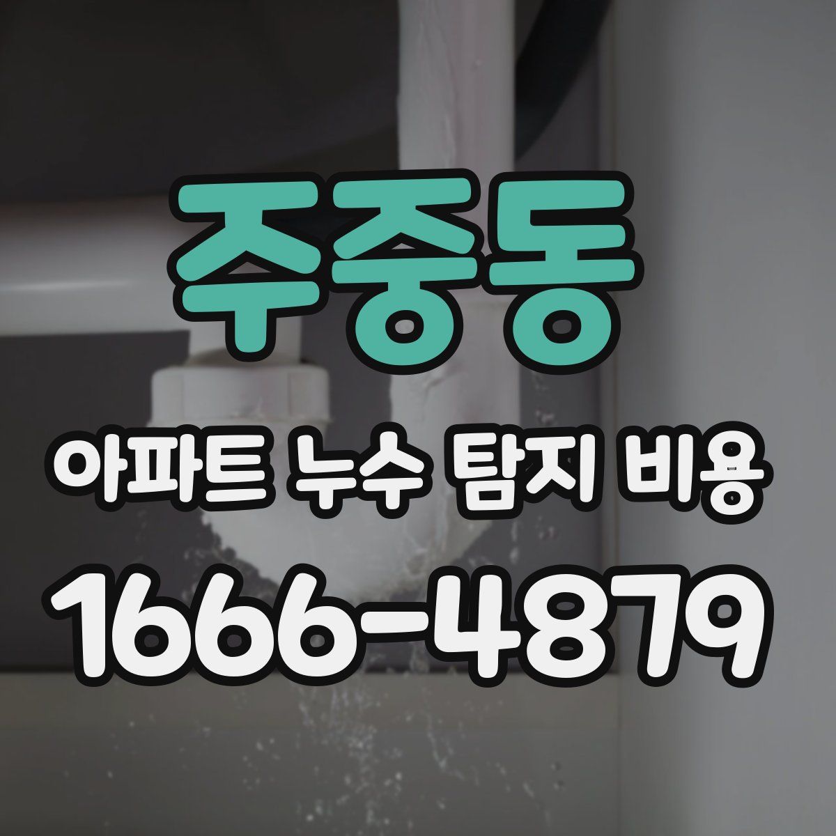주중동 아파트 누수 탐지 비용