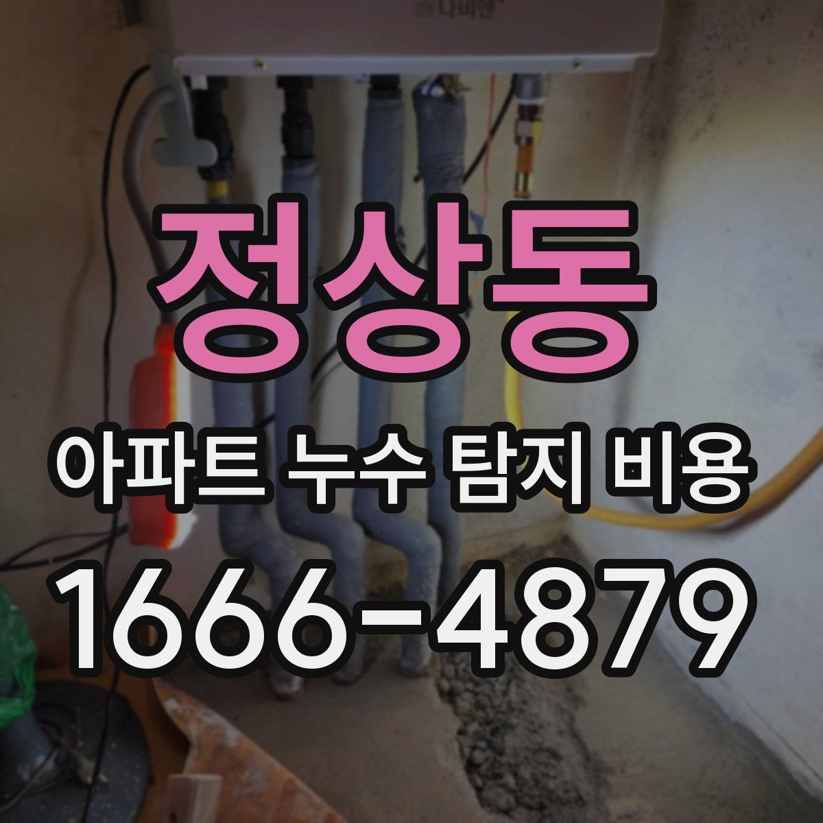 정상동 아파트 누수 탐지 비용