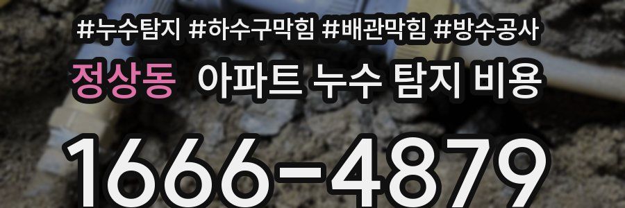 정상동 아파트 누수 탐지 비용