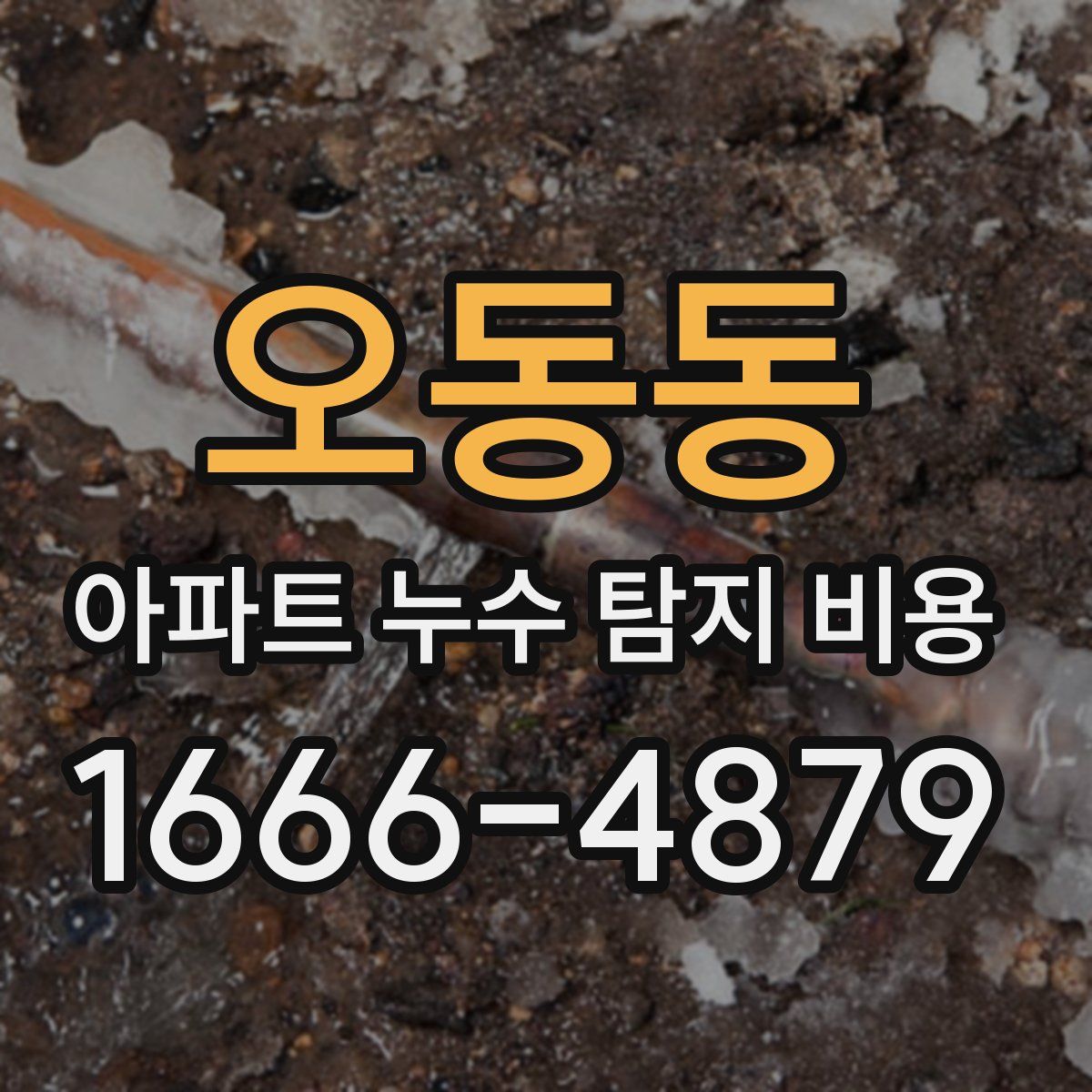 오동동 아파트 누수 탐지 비용