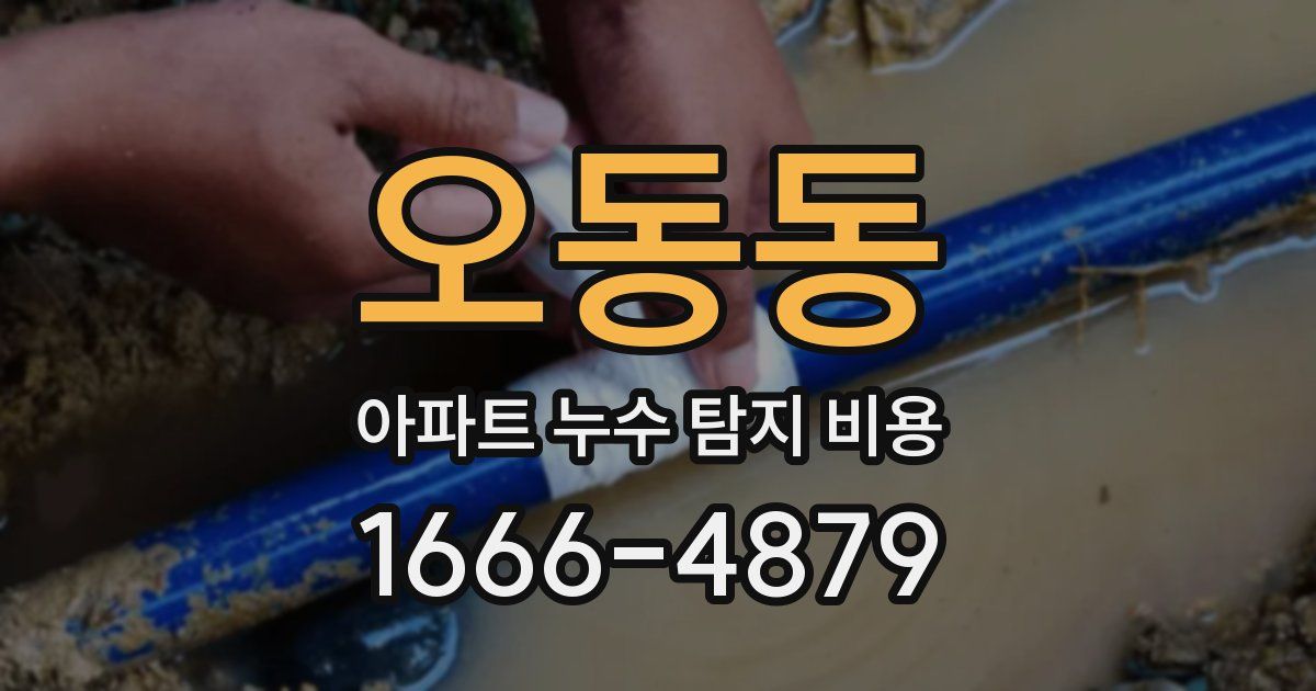 오동동 아파트 누수 탐지 비용