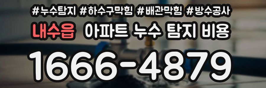 내수읍 아파트 누수 탐지 비용