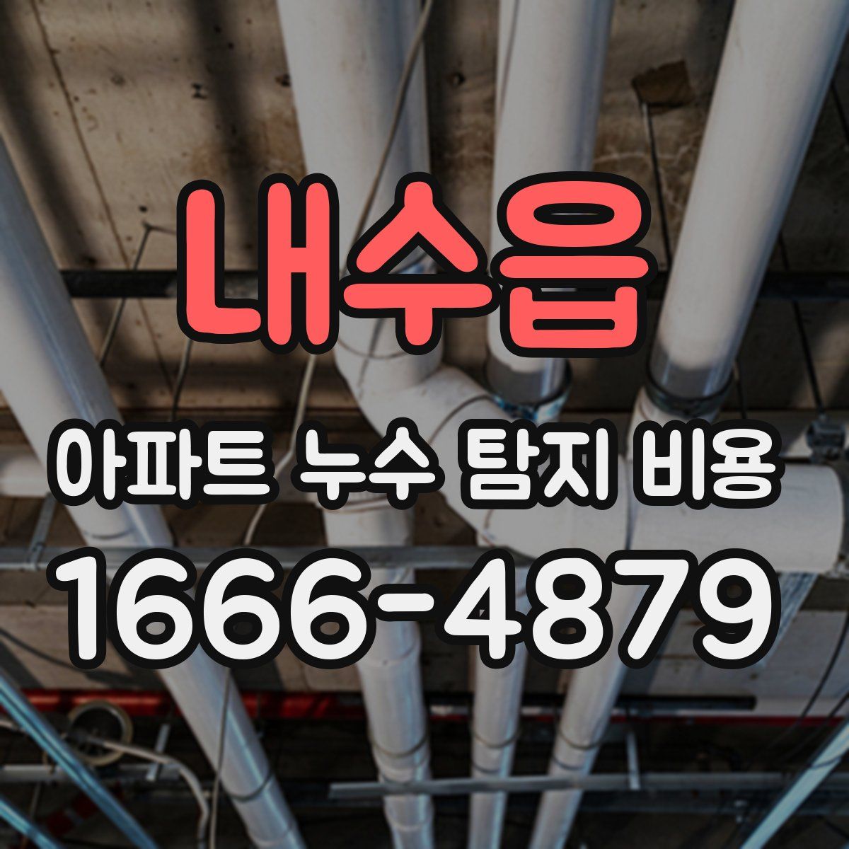 내수읍 아파트 누수 탐지 비용