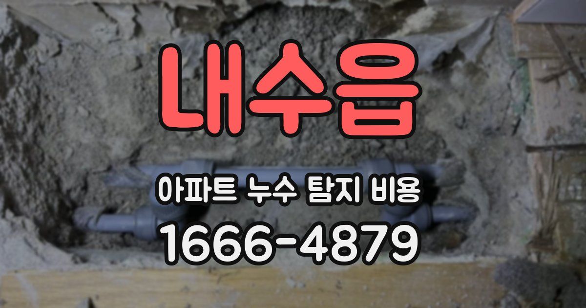 내수읍 아파트 누수 탐지 비용