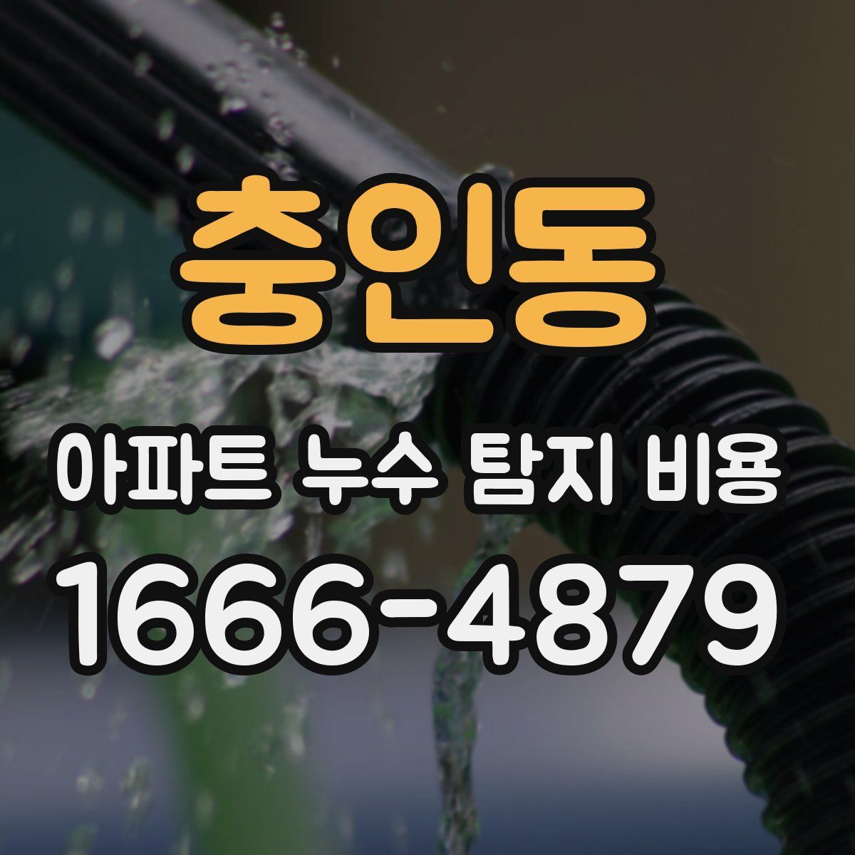 충인동 아파트 누수 탐지 비용