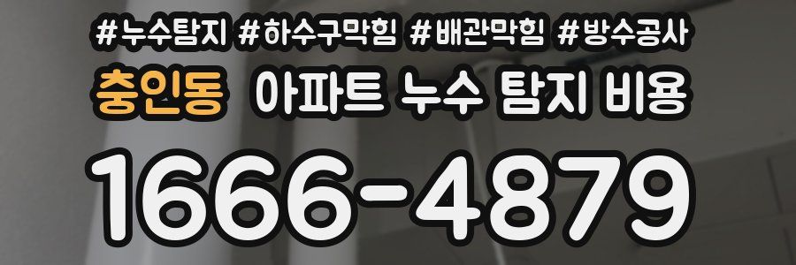 충인동 아파트 누수 탐지 비용