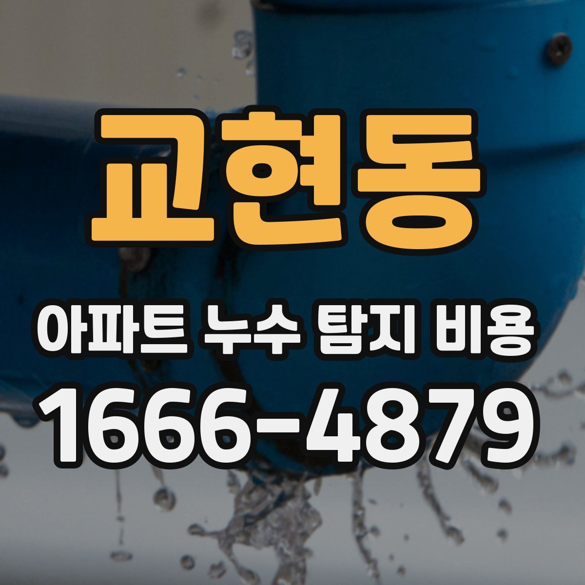교현동 아파트 누수 탐지 비용