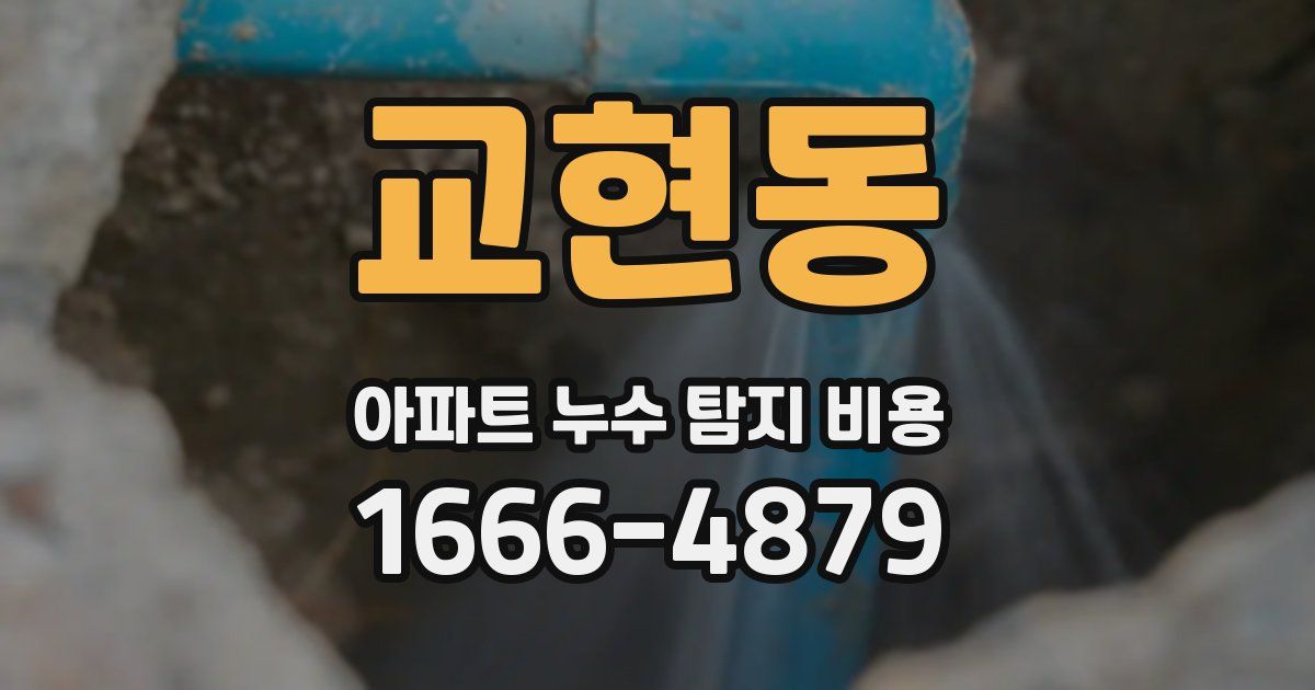 교현동 아파트 누수 탐지 비용
