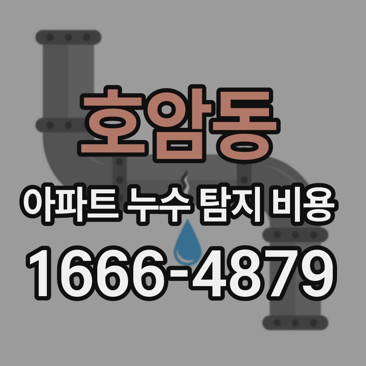 호암동 아파트 누수 탐지 비용